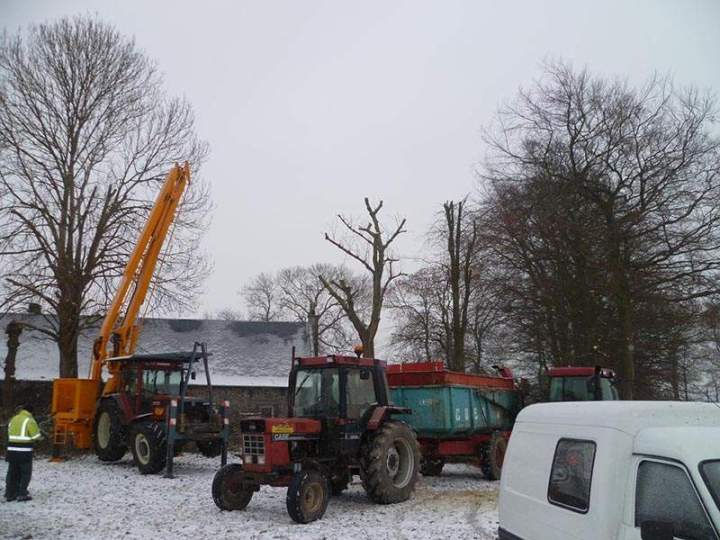 Élagage sécurisé Beaurepaire