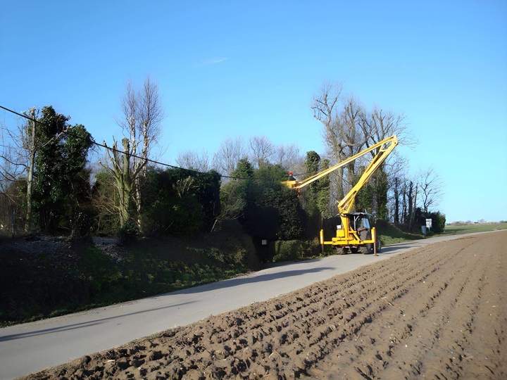 Travaux d’abattage Beaurepaire