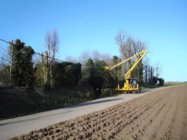 Élagage professionnel pour arbres en toute sécurité