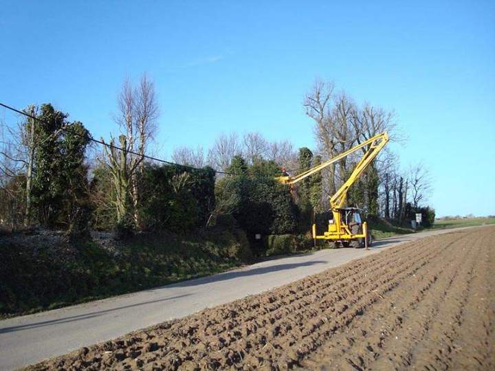 Entreprise élagage Beaurepaire