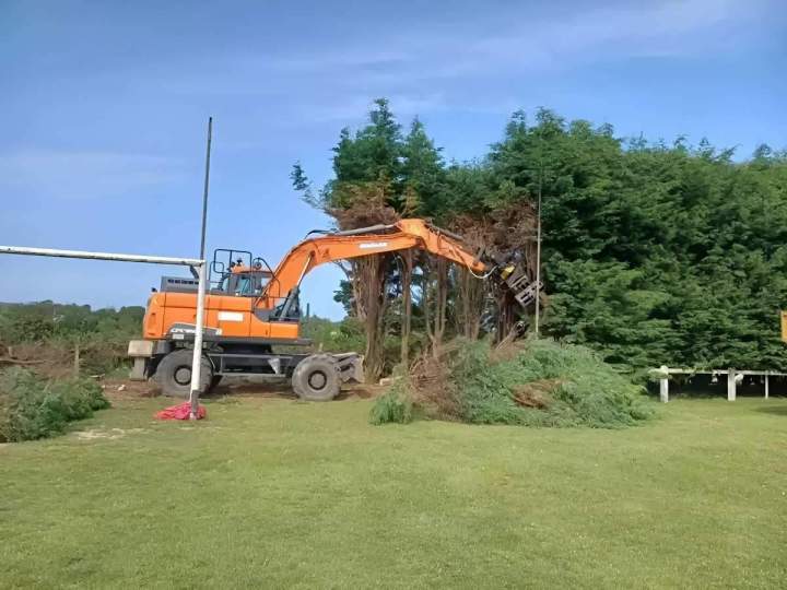 Abattage maîtrisé pour zones urbaines et rurales