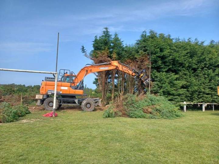 Abattage d'arbres dangereux Beaurepaire
