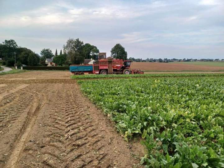  Activités agricoles Beaurepaire