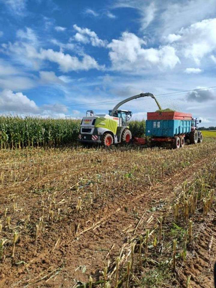 Travaux agricoles Beaurepaire