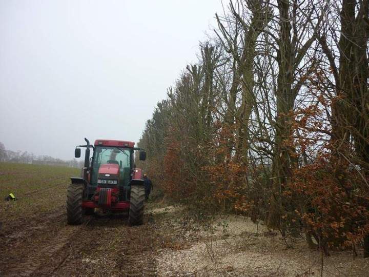 Services élagage professionnel Beaurepaire