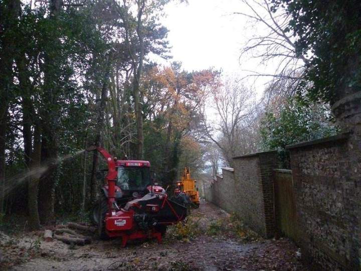 Abattage d’arbres Beaurepaire
