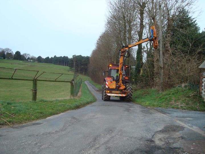 Travaux d’élagage Beaurepaire