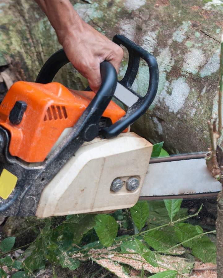 Spécialiste d'abattage Beaurepaire